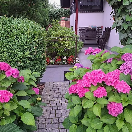 Appartement Apartament Lady Anna D